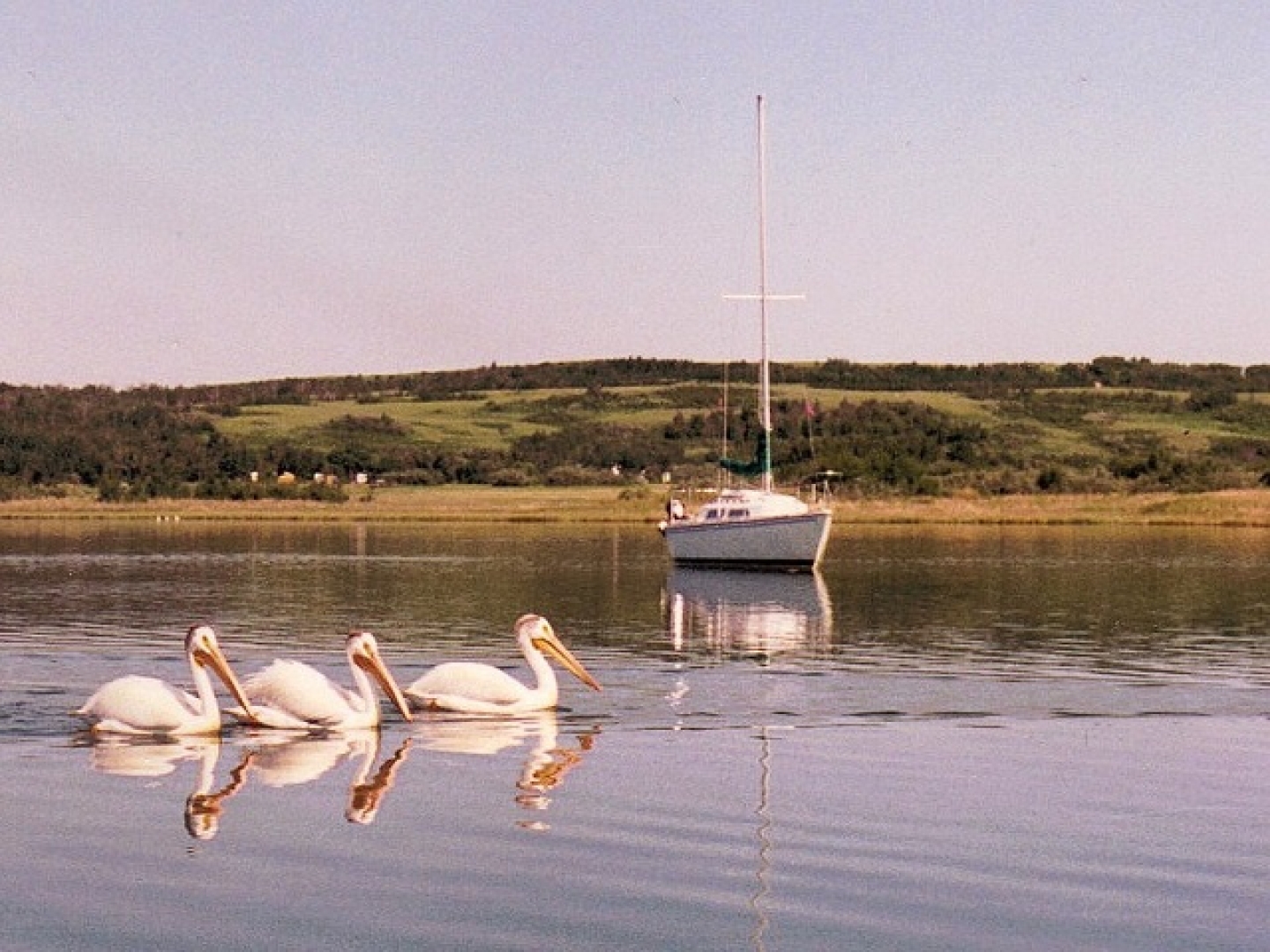 Redberry Lake Bird Sanctuary Tour