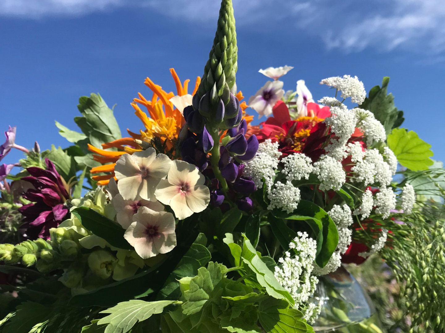 Flower arrangement made at the Black Fox Flower Class.