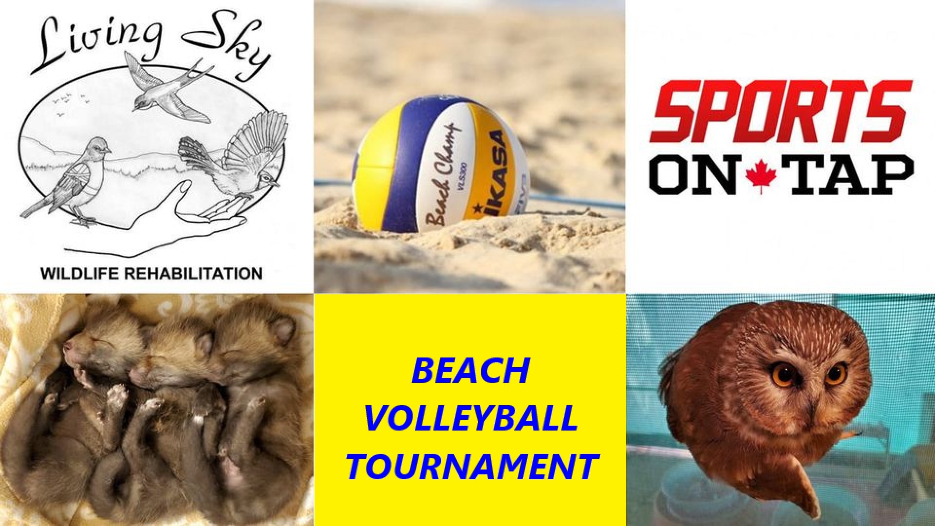 Beach Volleyball Tournament