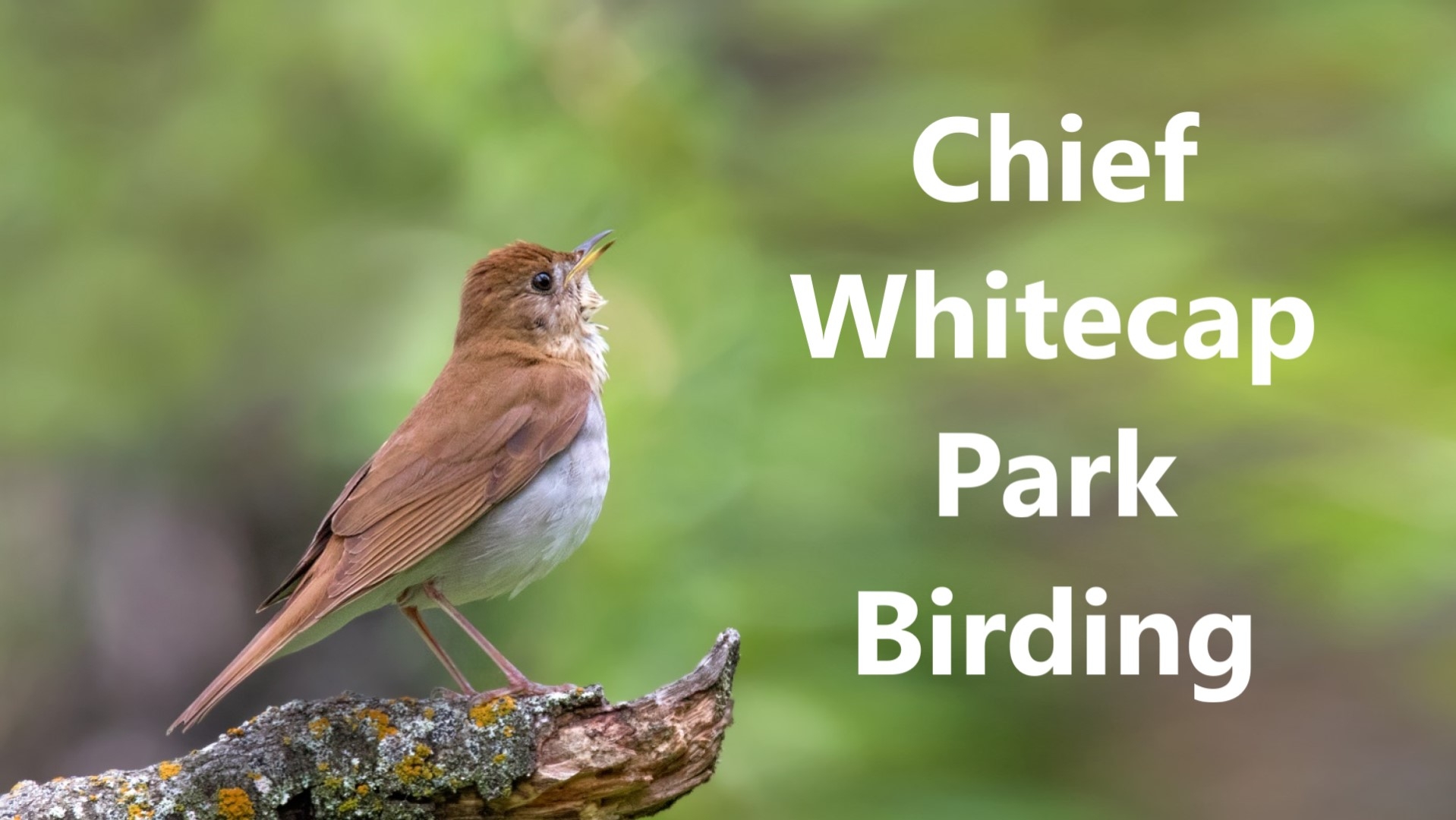 Chief Whitecap Park Birding Tour