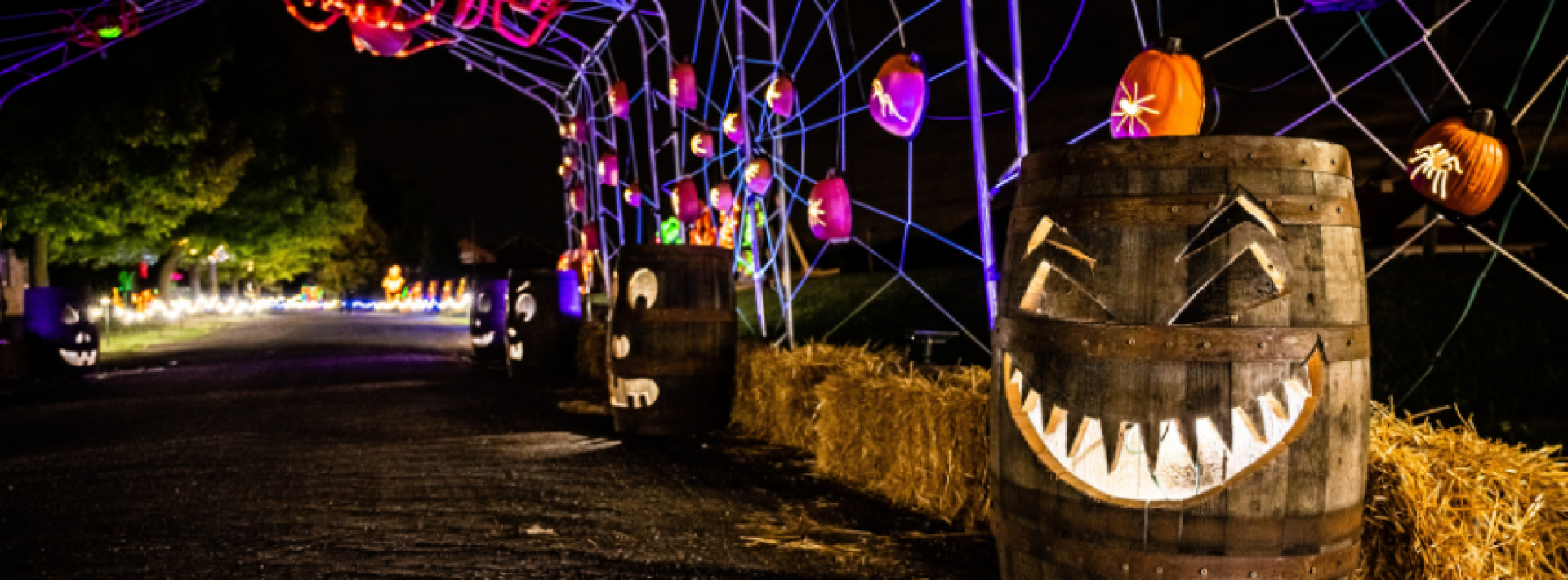 Image of pumpkin archway