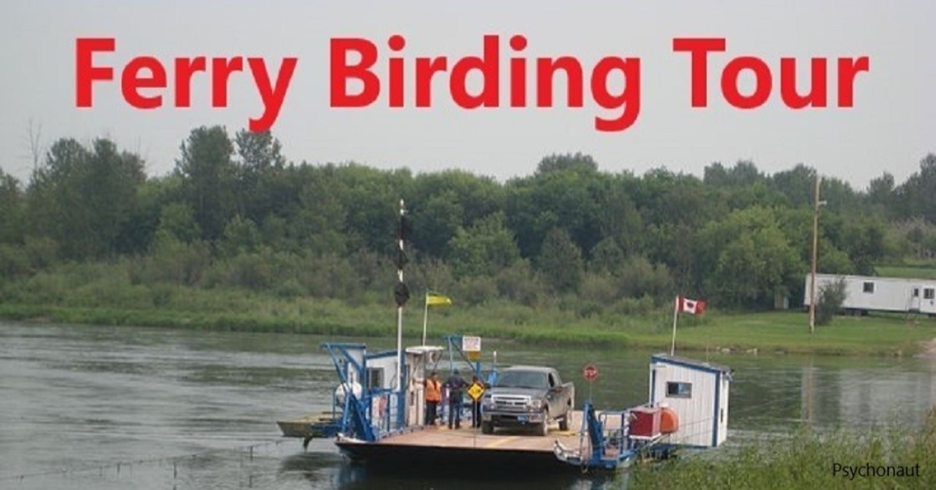 Ferry Birding Tour