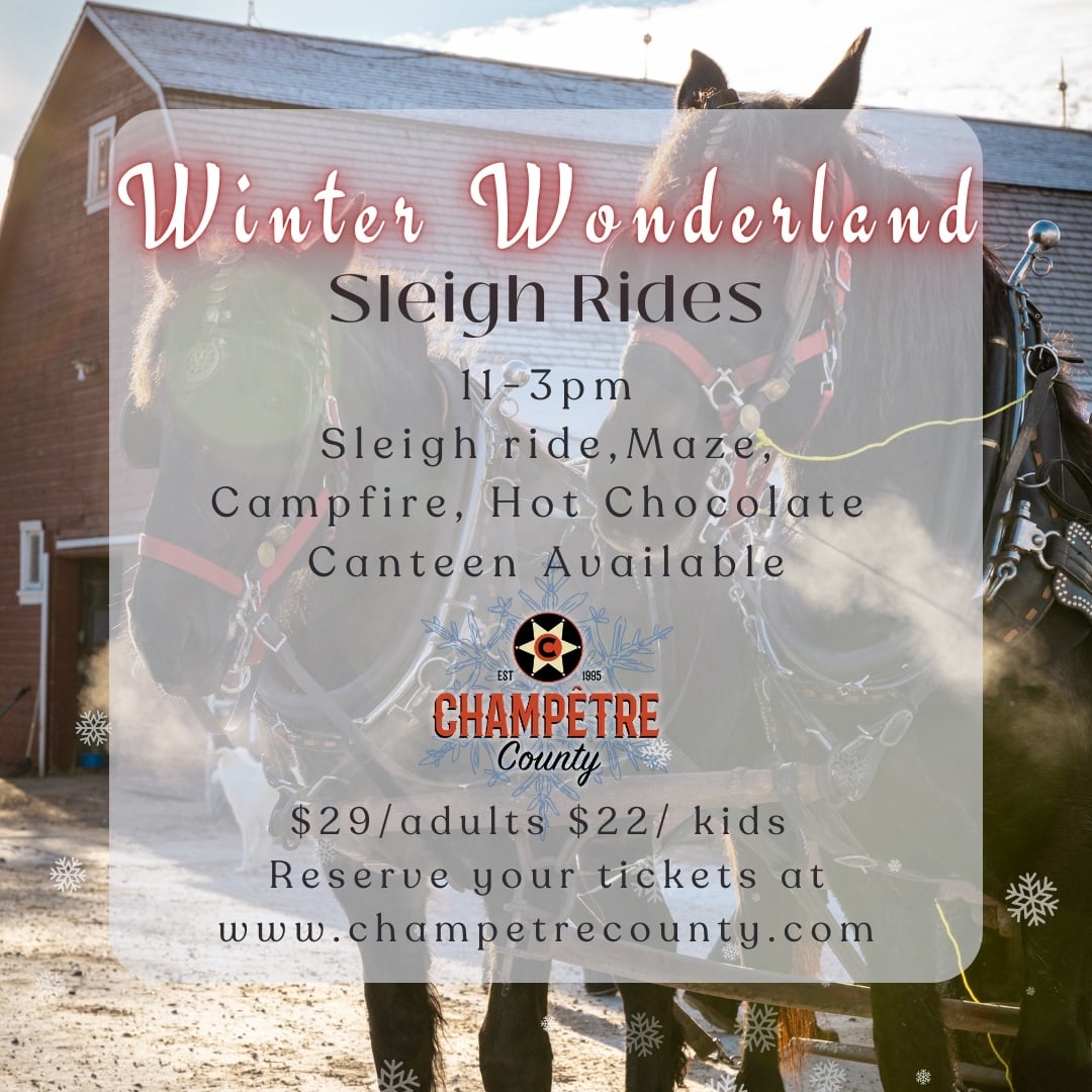 Sleighrides in a magical winter setting