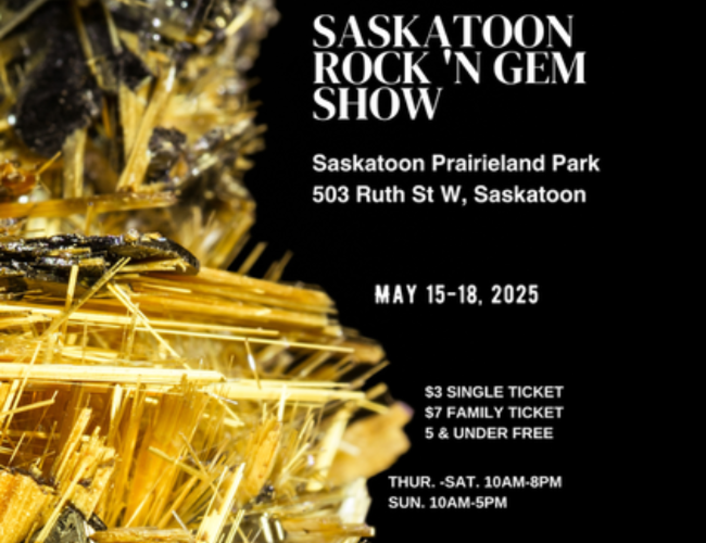 Rock and Gem Show 