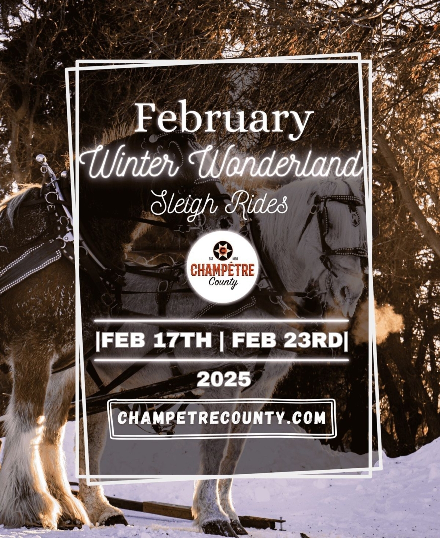 Winter Wonderland Sleigh Rides
