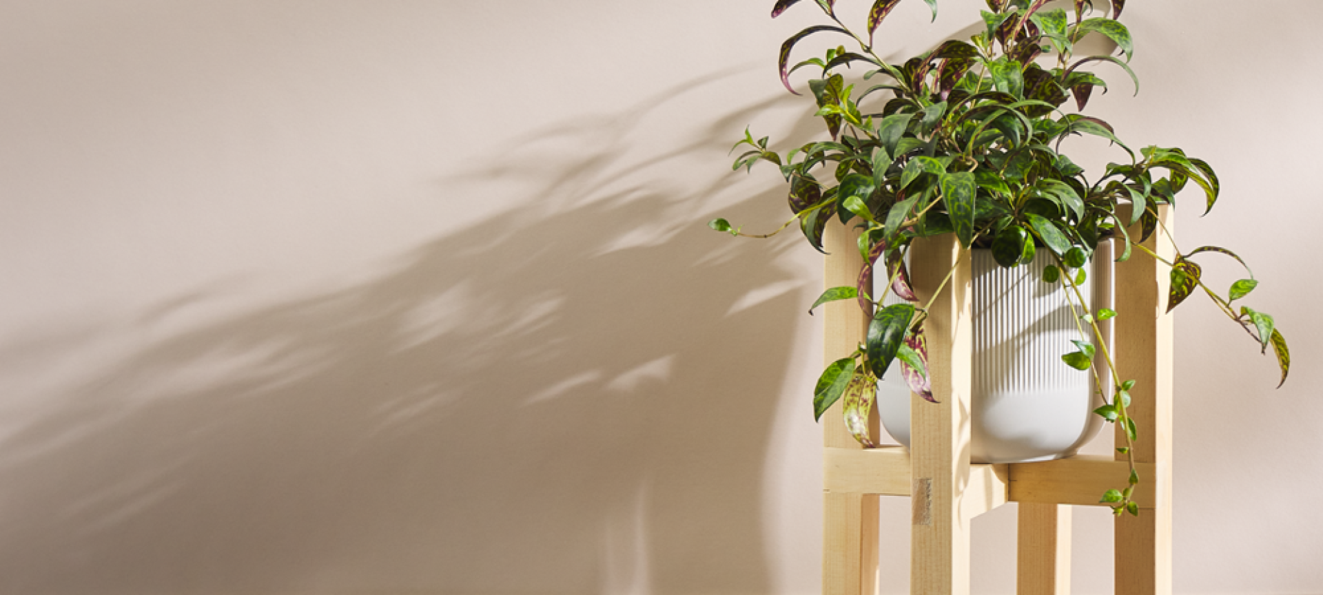 Make a Plant Stand