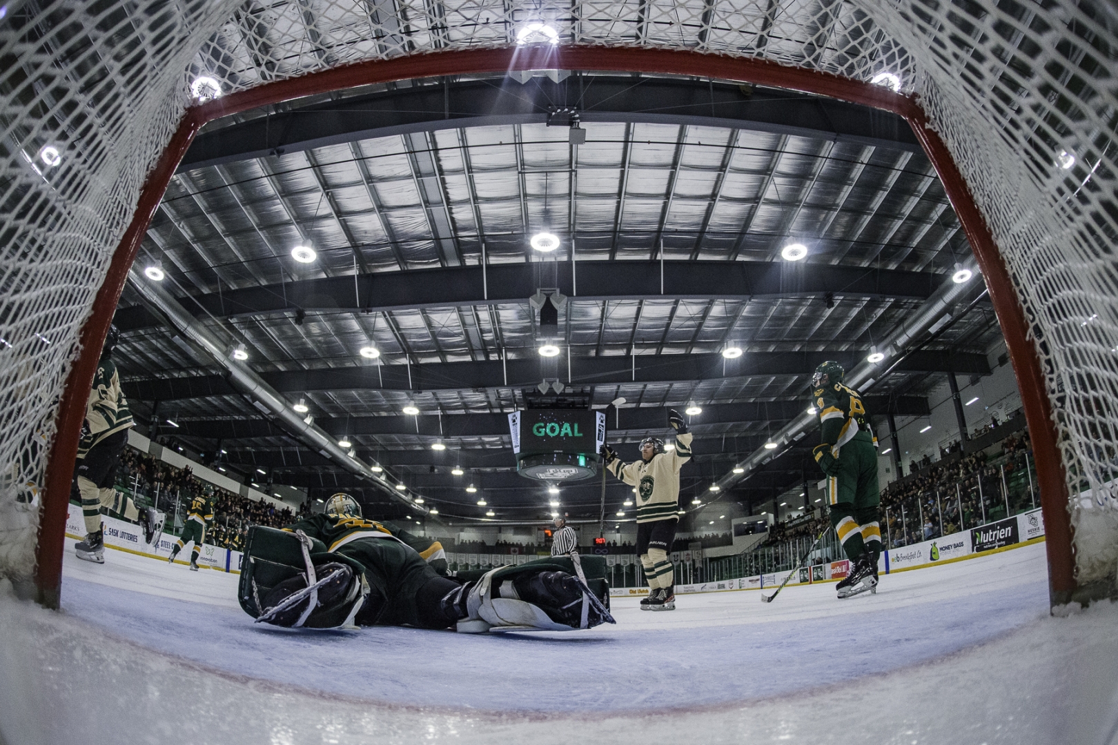 Huskies Goal 