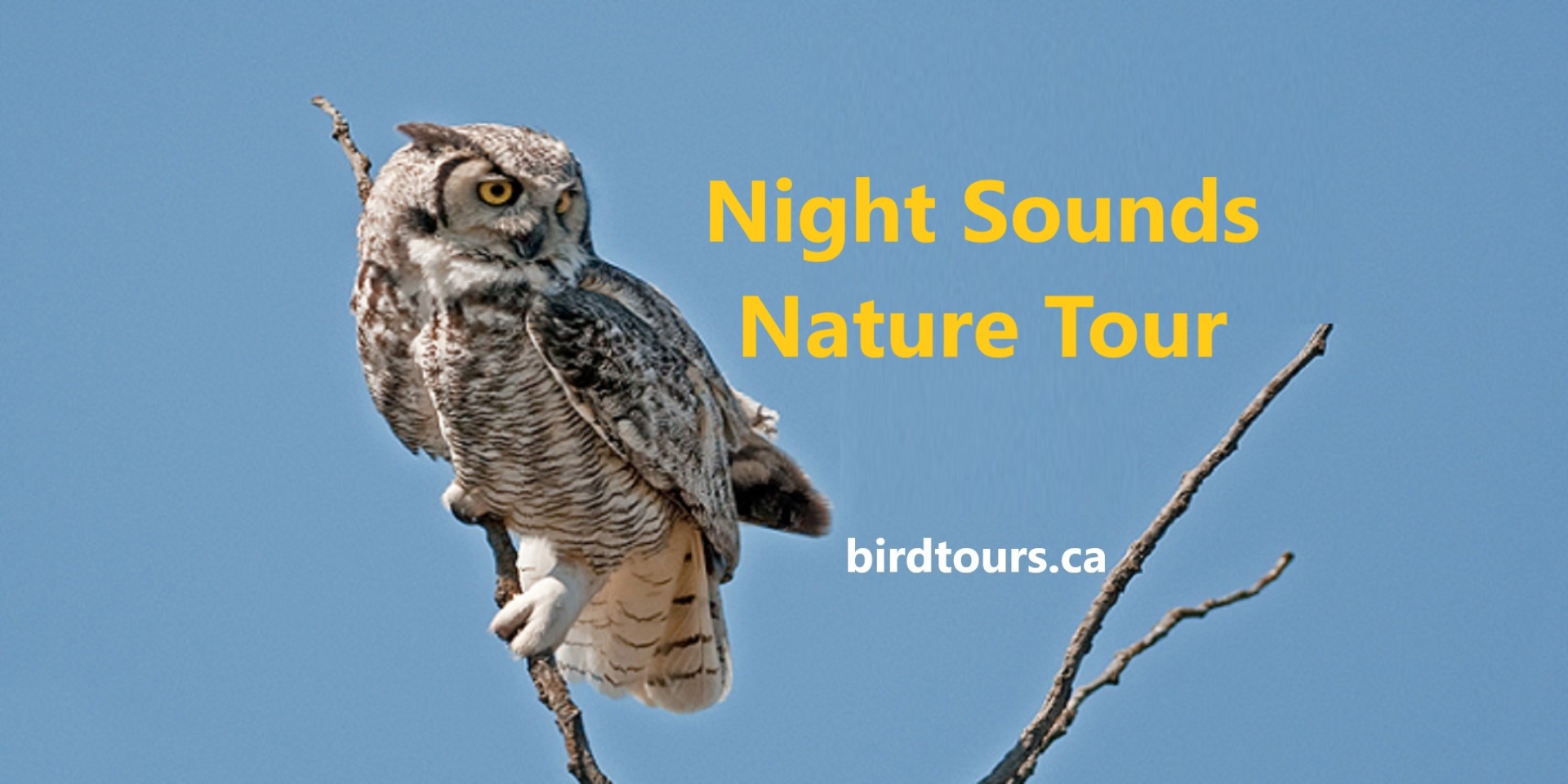Night Sounds Nature Tour