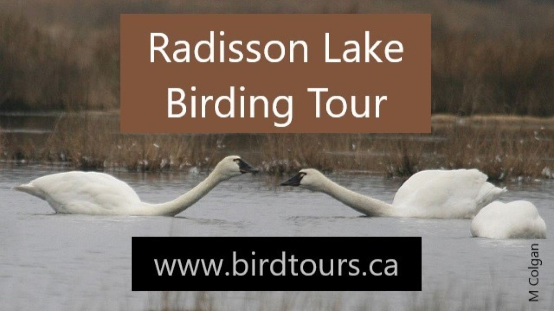 Radisson Lake Birding Tour