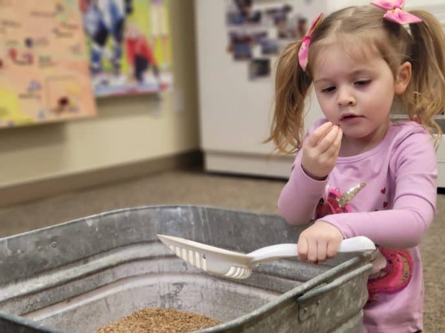 A child investigates a bucket of grain