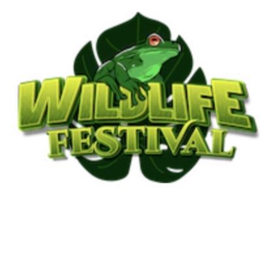 A green frog sitting on top of the text "Wildlife Festival" in a light green/yellow backed by a dark green plant leaf