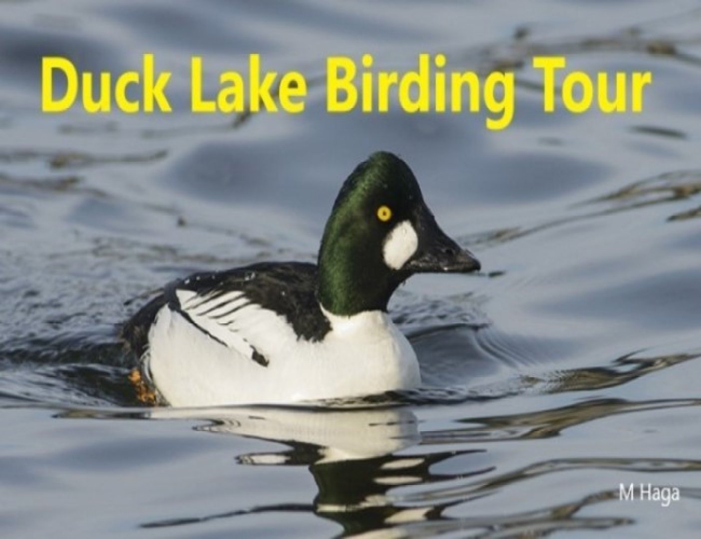 Duck Lake Birding Tour