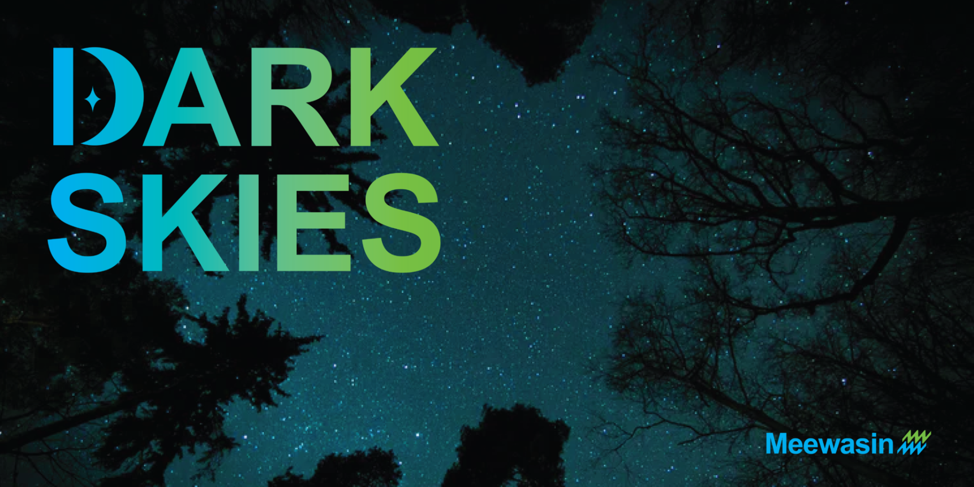Dark Skies
