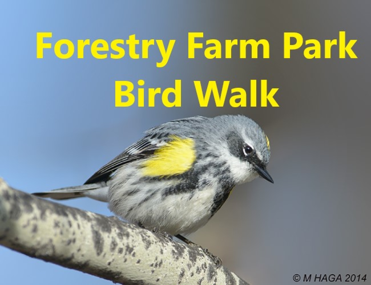 Forestry Farm Park Bird Walk
