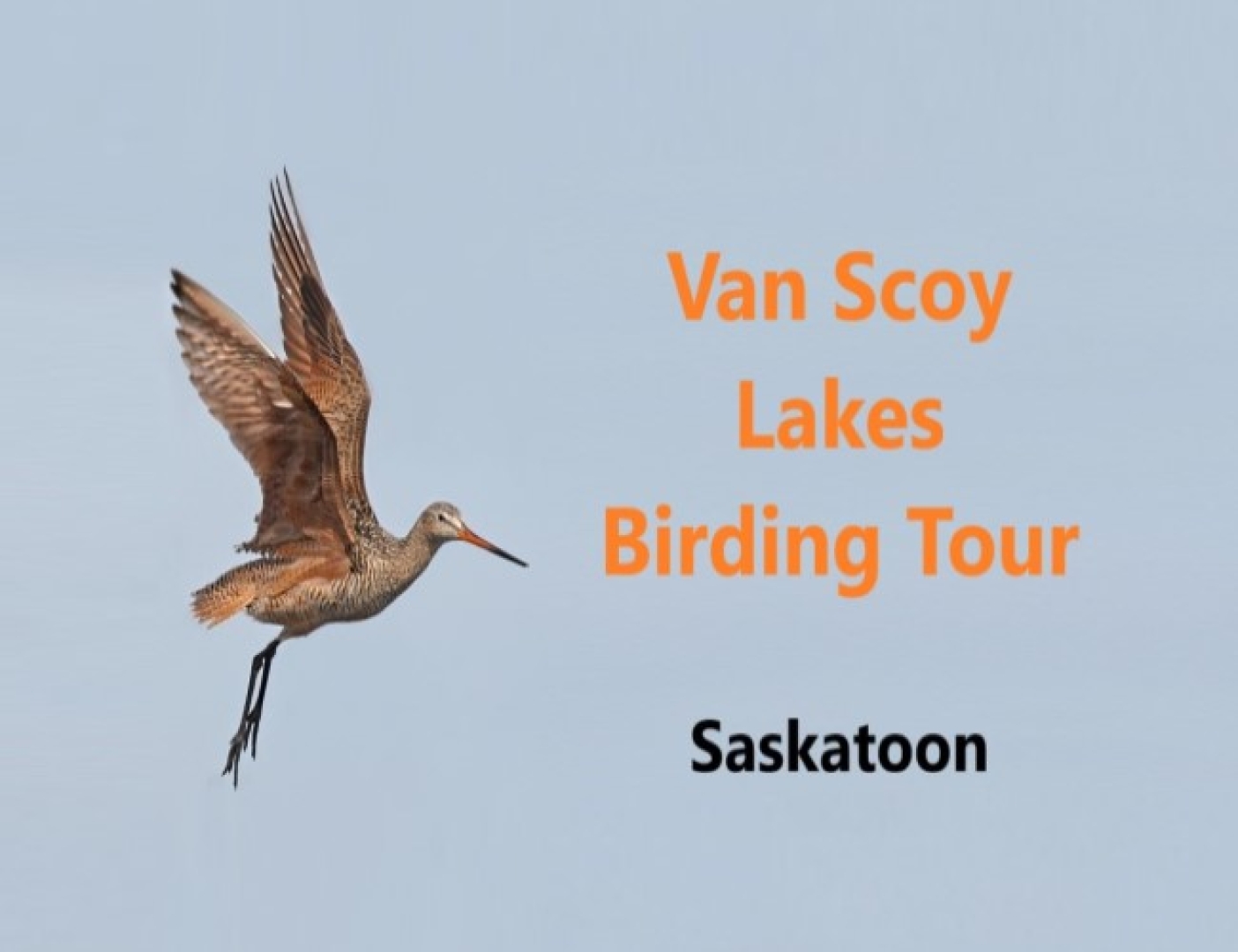 Van Scoy Lakes Birding Tour