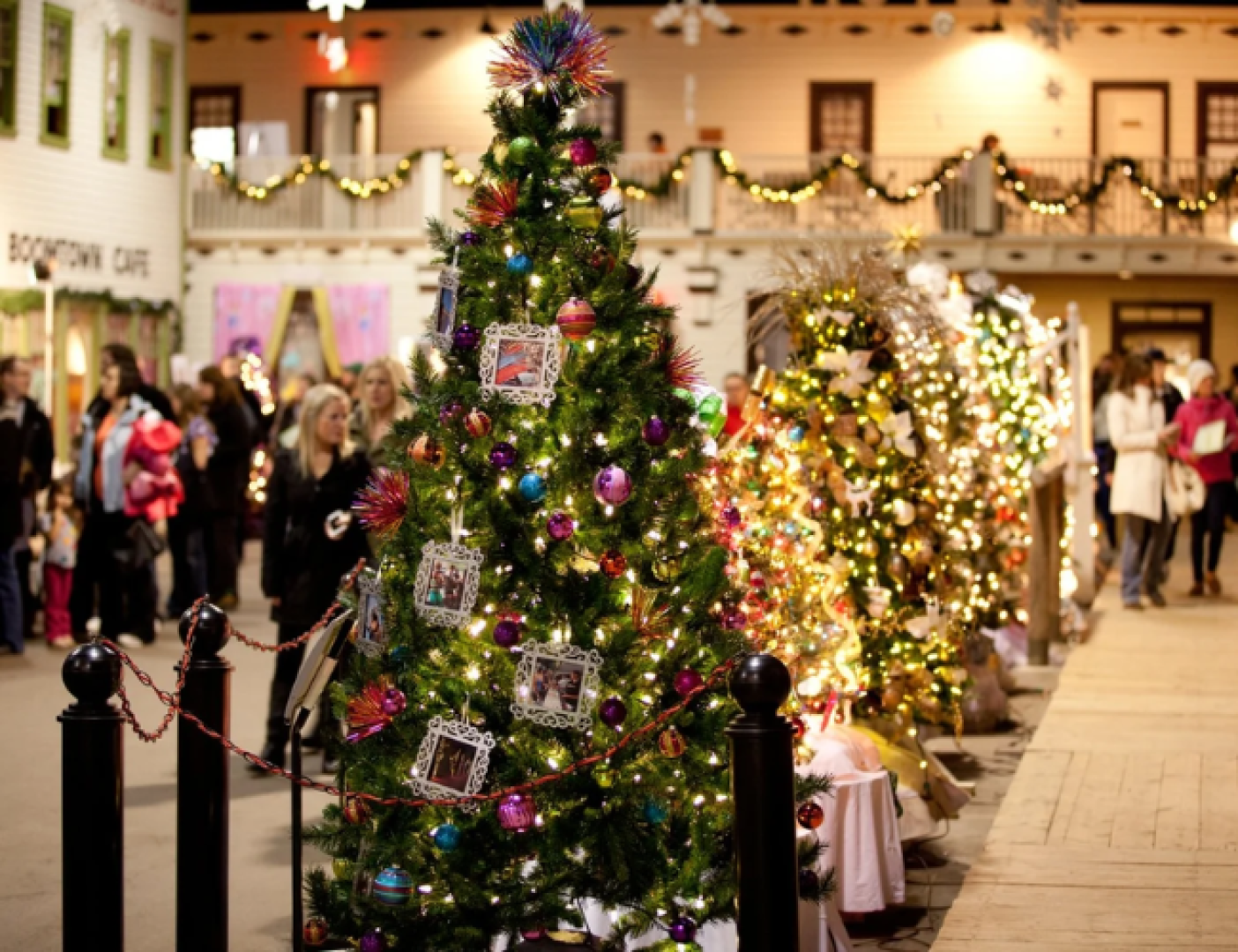 Decorated trees for display