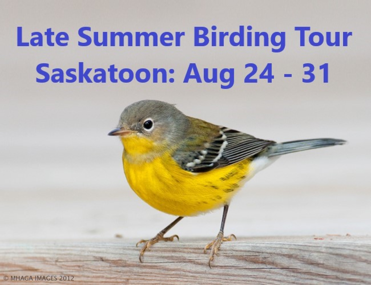 Late Summer Birding Tour Saskatoon: Aug 24 - 31