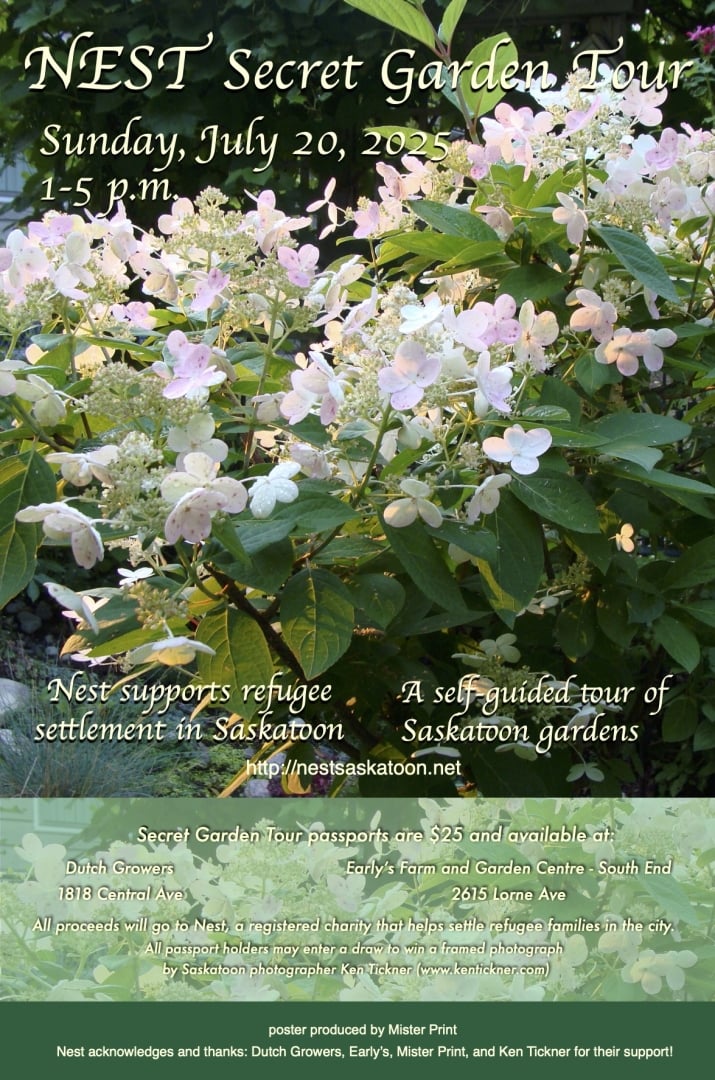 Poster with blooming hydrangea plant .