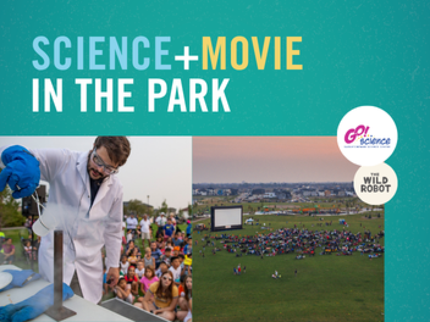 Movie in the Park