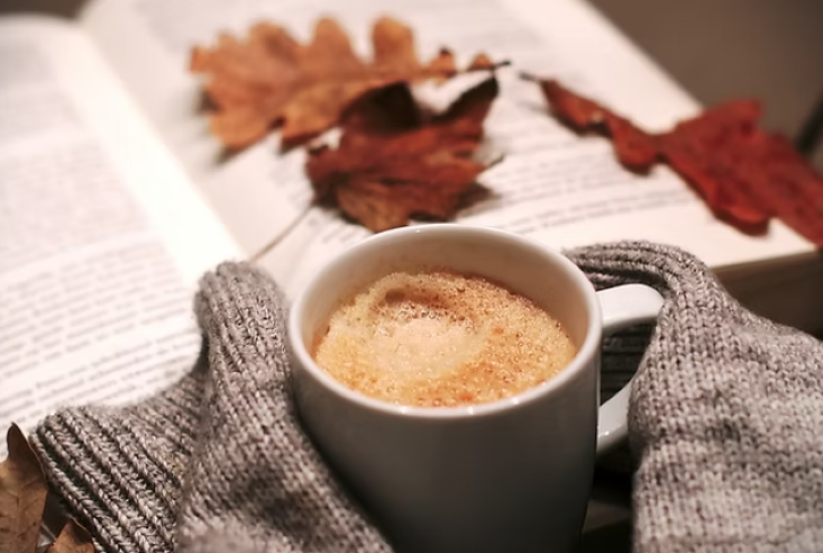 MKRT - The Autumn Edit