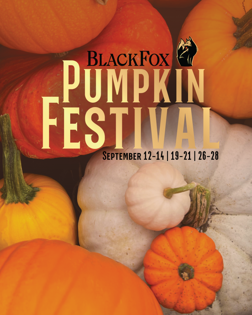 Black Fox Promotional poster
