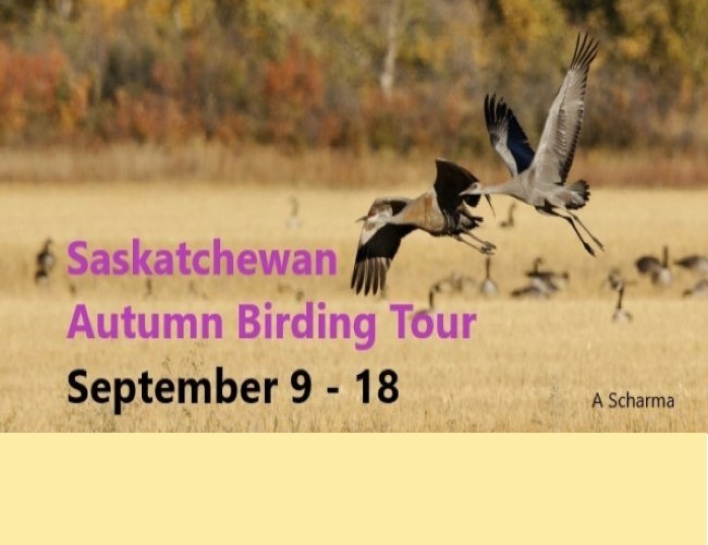Saskatchewan Autumn Birding Tour: September 9 - 18