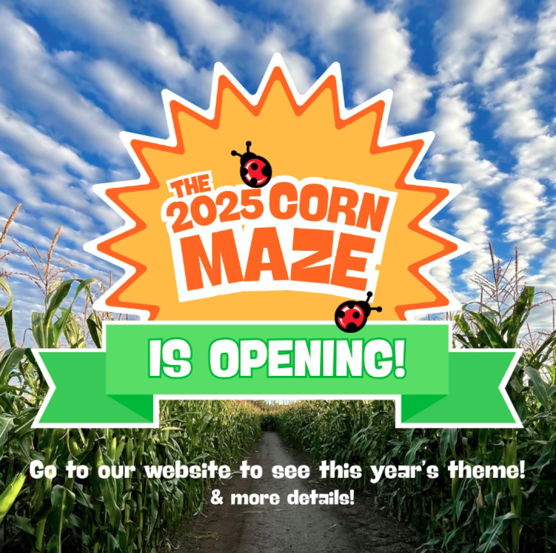 Corn Maze Promotional Poster