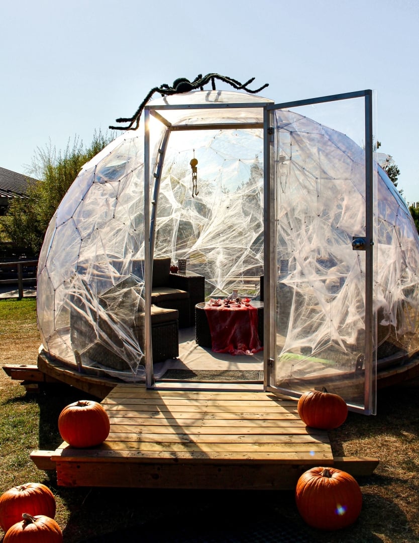 Photo of the Widow's Web.