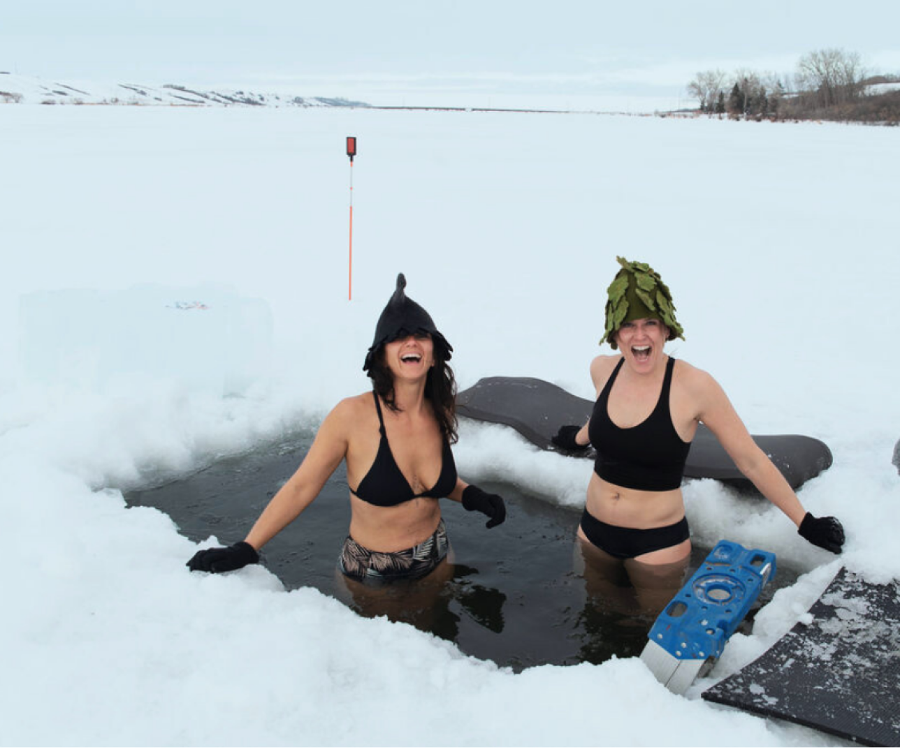 Sauna and Polar Plunge