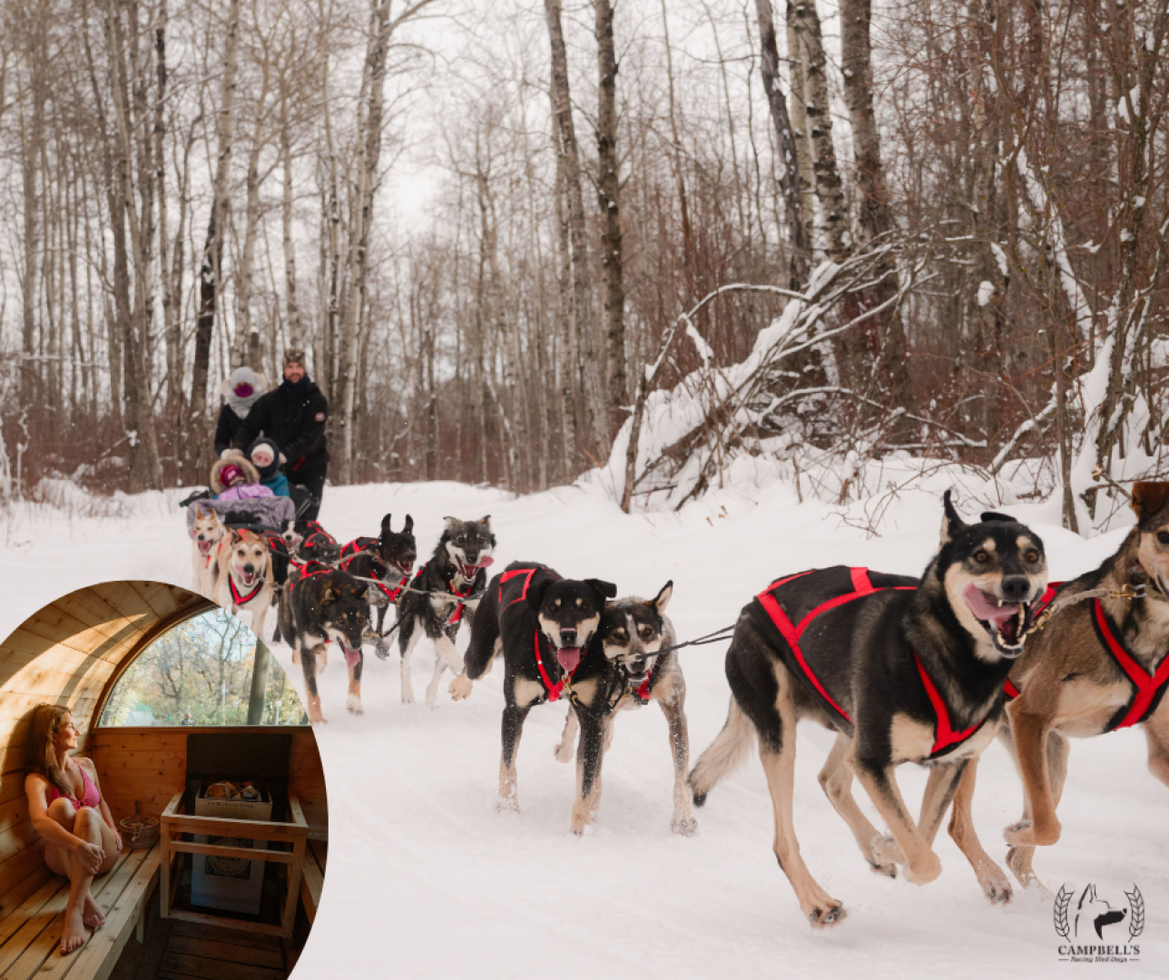 Dogsledding & Sauna