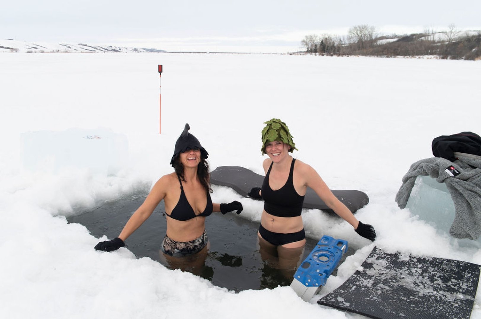 Polar Plunge