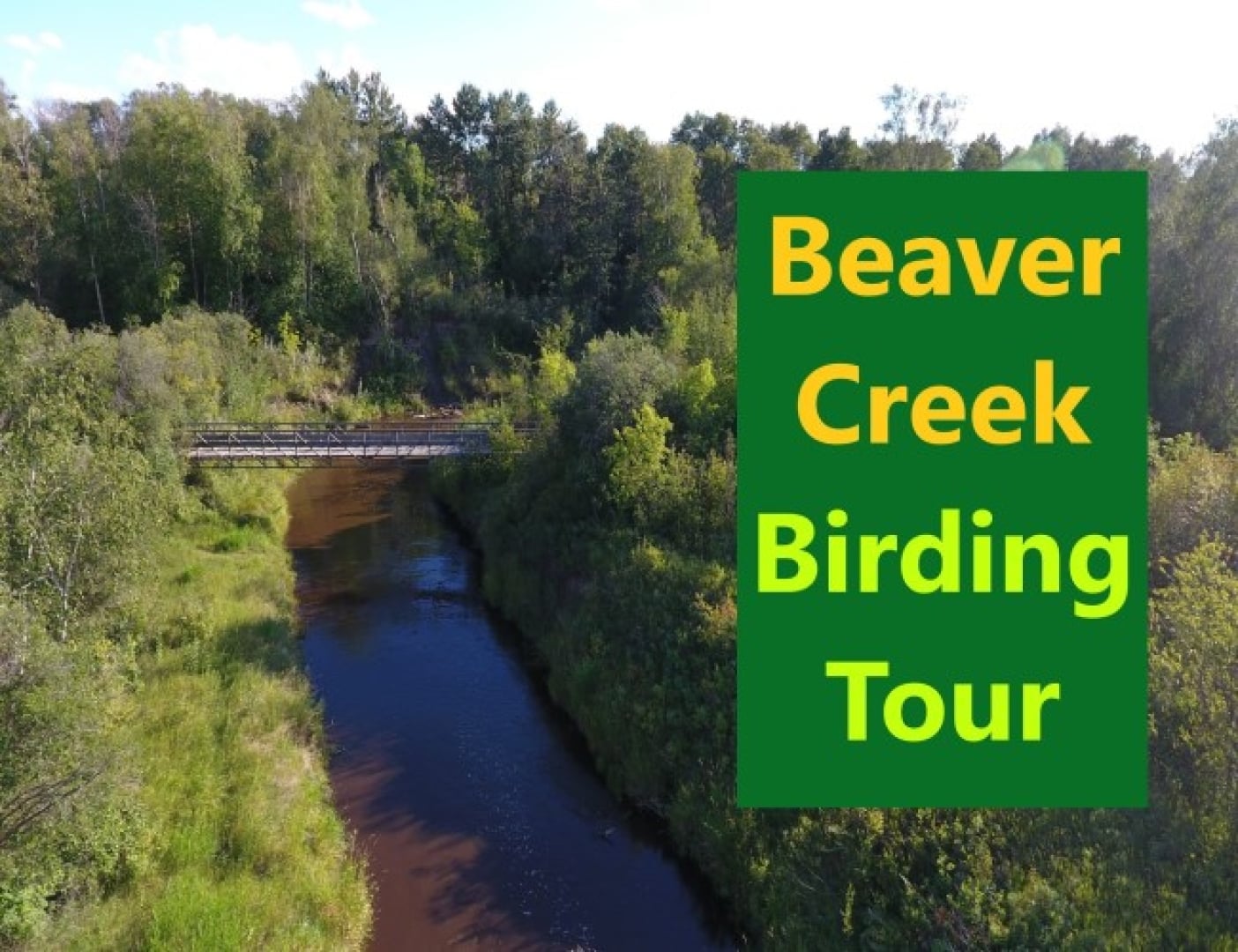 Beaver Creek Birding Tour