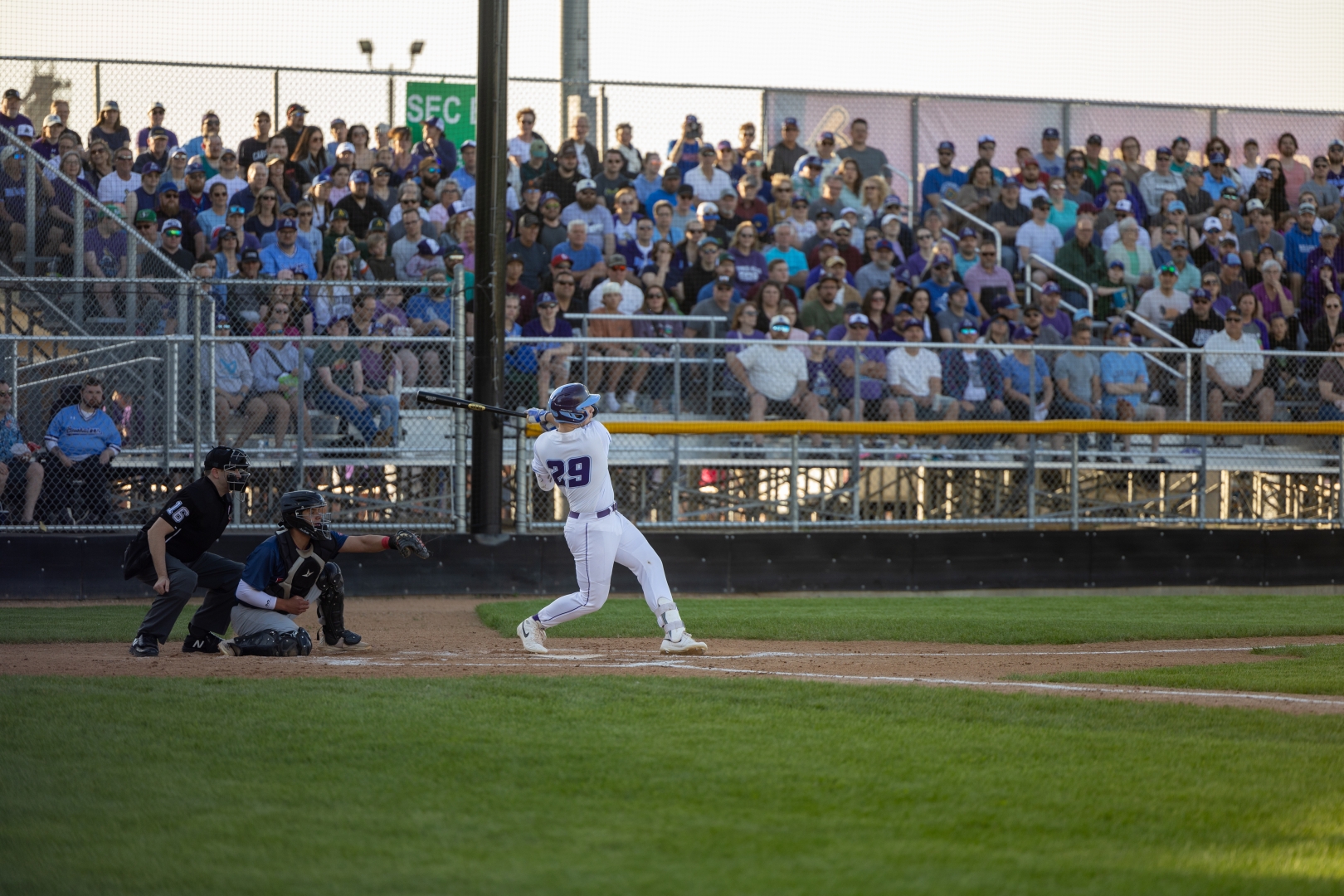 Saskatoon Berries in game photo