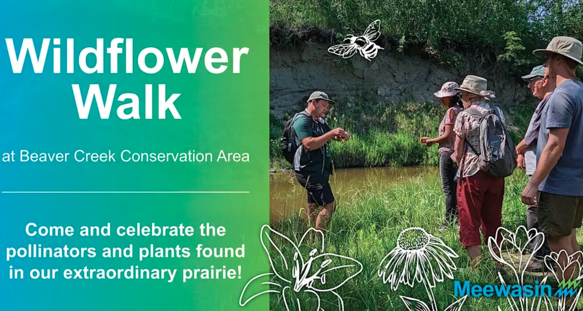 wildflower walk poster