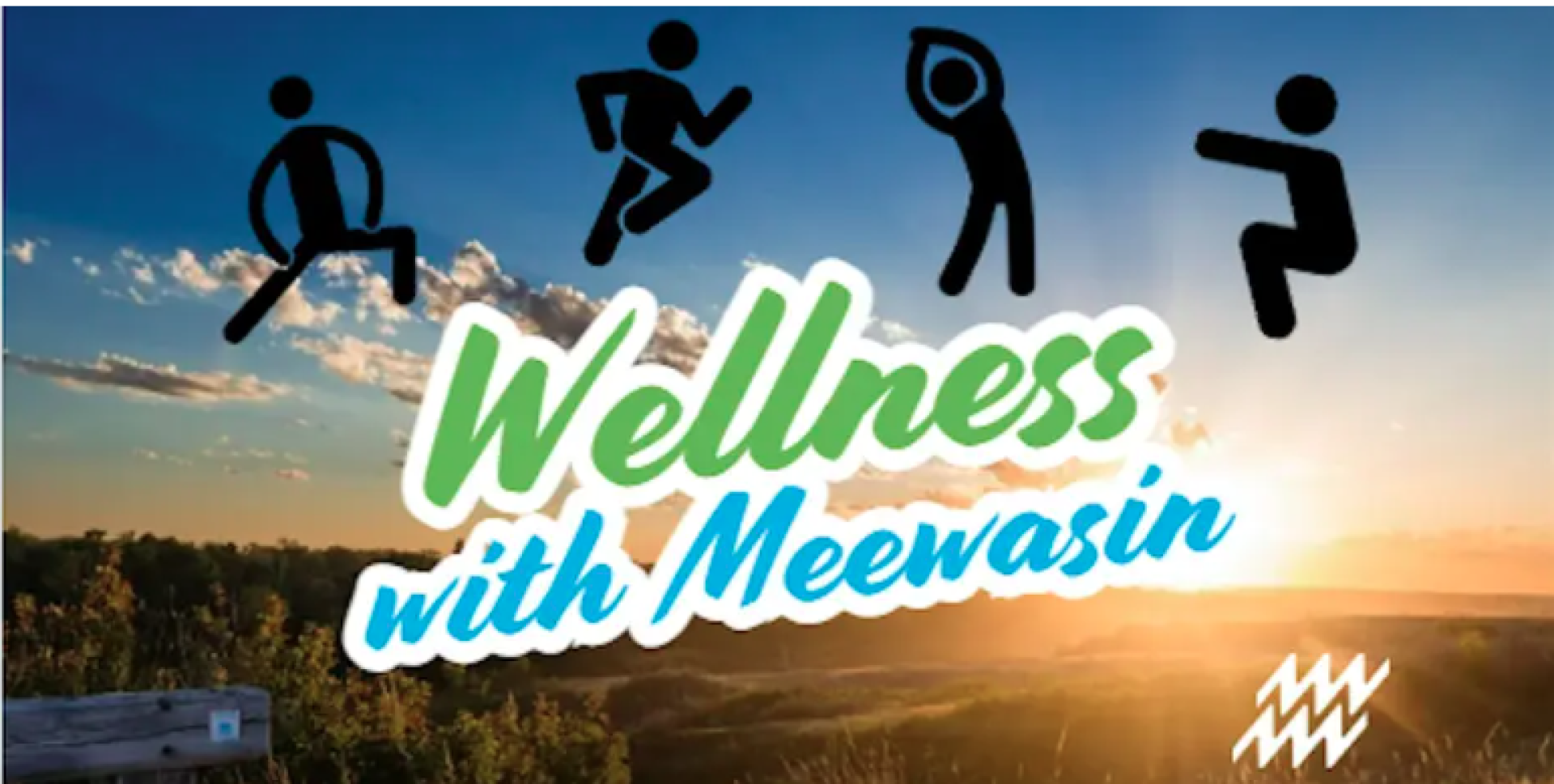 wellness with meewasin poster
