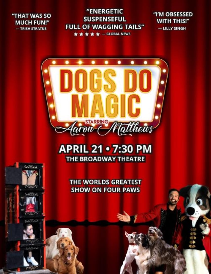 Image of a theatre stage with red curtains drawn, dogs smiling and people dressed up as magicians.