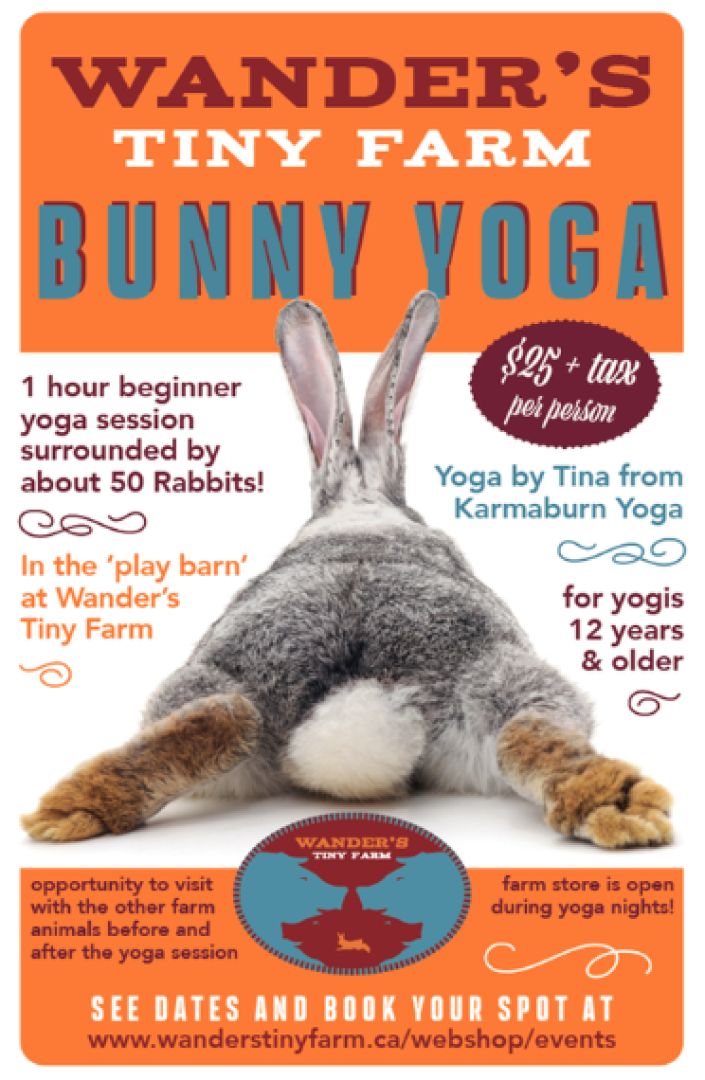 Bunny yoga poster