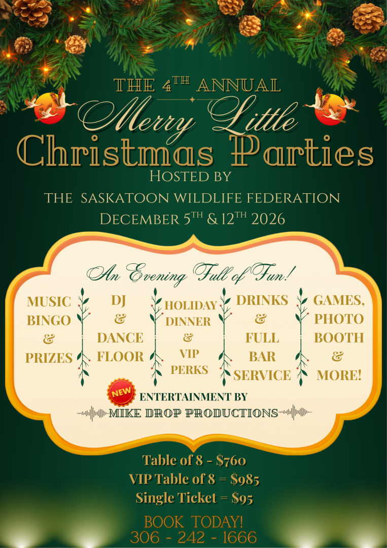 Poster for xmas parties december 5 and 12