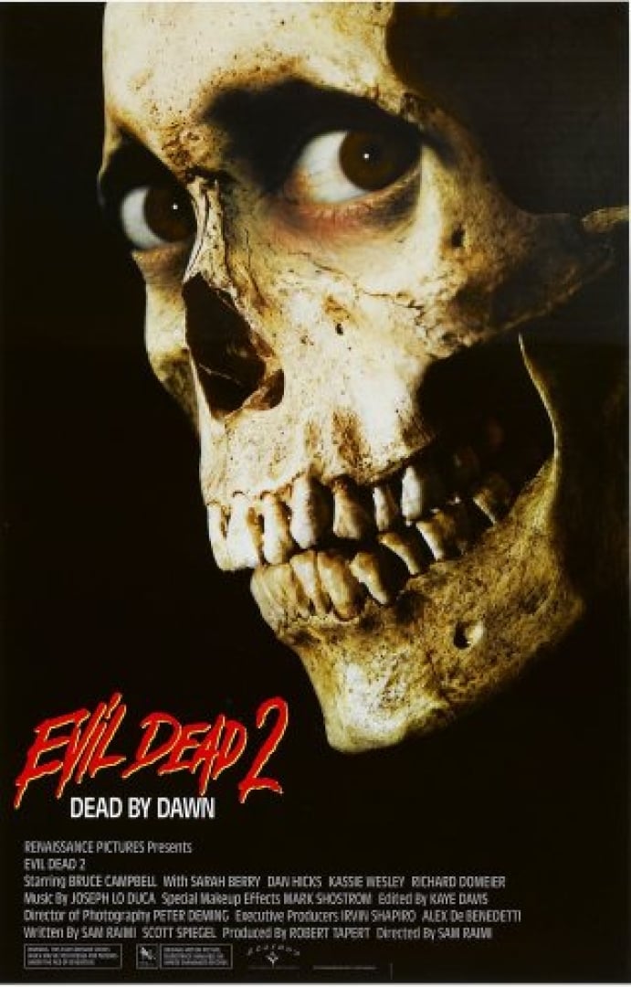 Image of a skull facing the left slightly but with brown eyes still in it, looking at you.