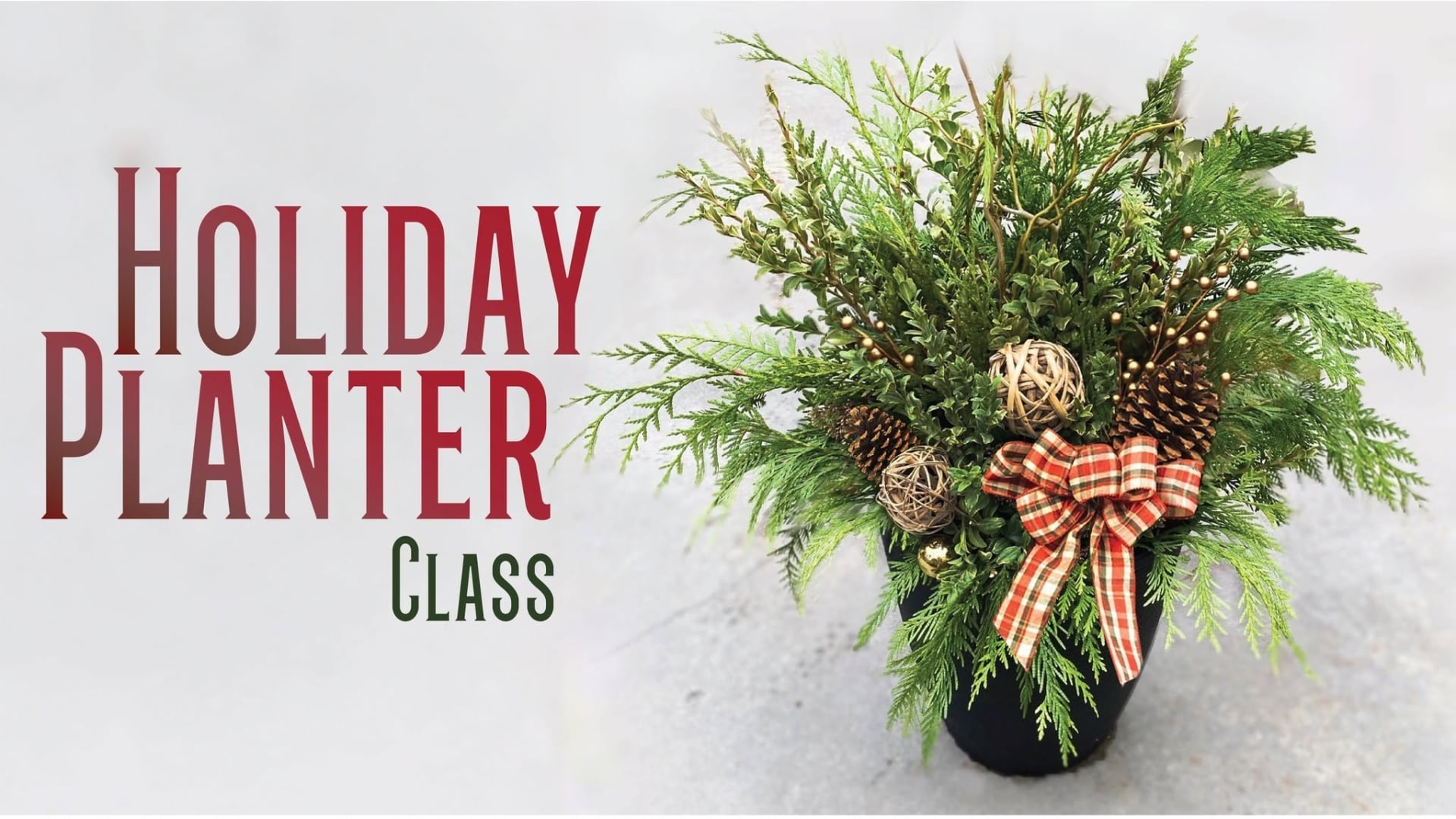 In this Holiday Planter Class, we’ll teach you how to make your very own outdoor winter arrangement