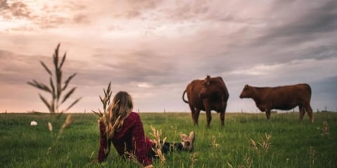 Farm One Forty