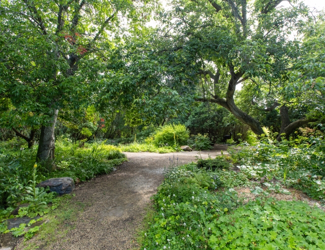 Discover Saskatoon Spring Photography Forestry Farm Park Secret Gardens.jpg