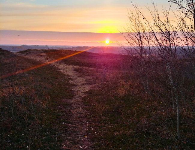 Celebrate Fall in Saskatoon: A 24-Hour Itinerary | Discover Saskatoon