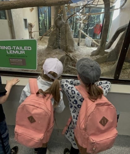 zoo